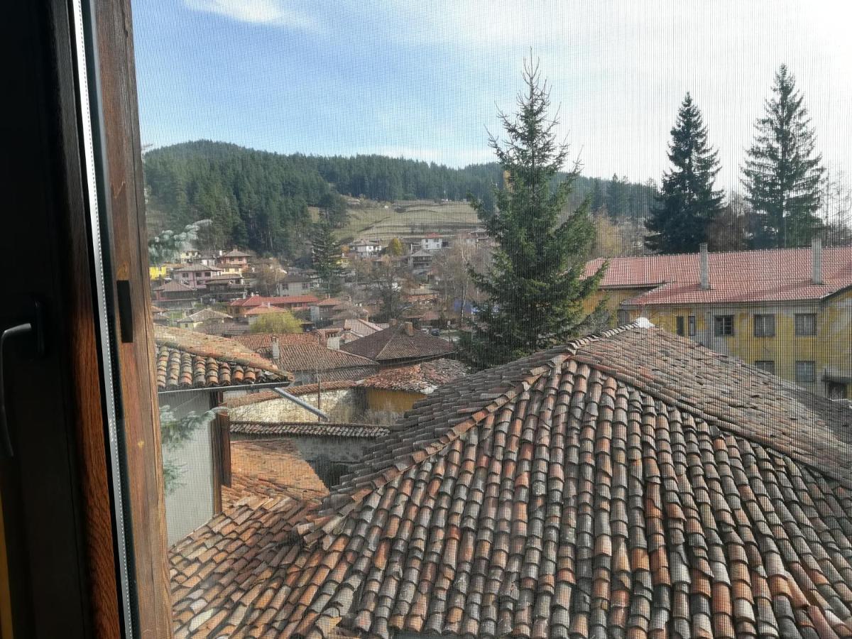 Guest House Terziiski 코프리브시티차 외부 사진